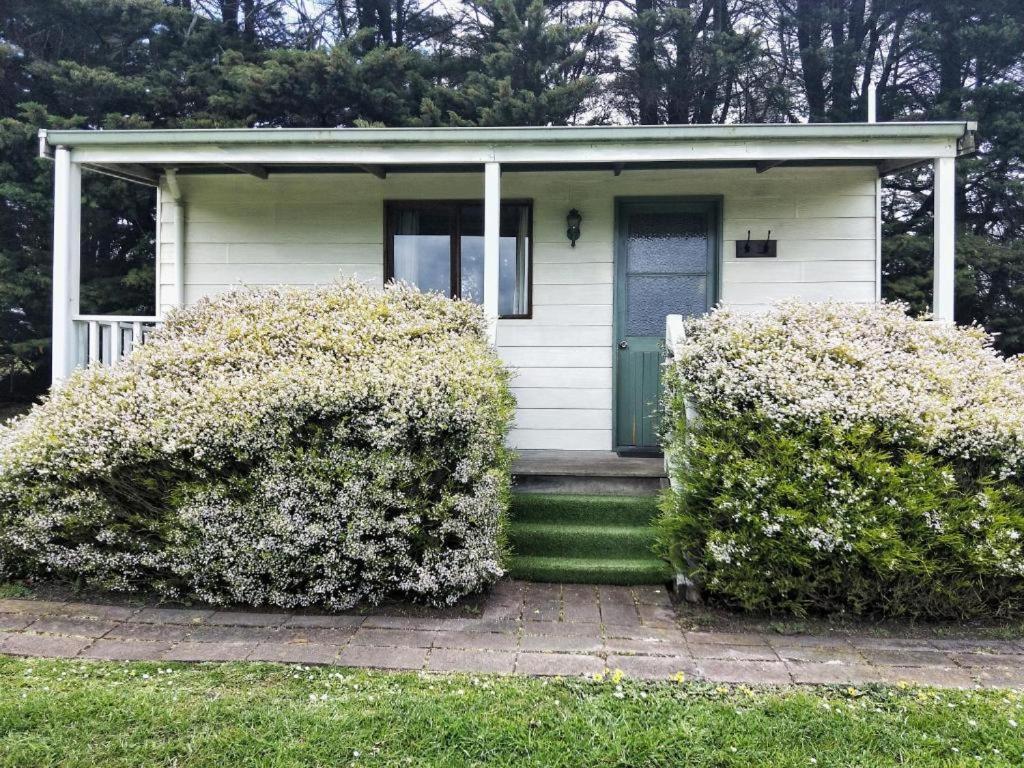 Twelve Apostles Motel & Country Retreat Princetown Zewnętrze zdjęcie